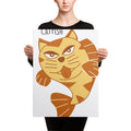 The Catfish Canvas - Pimmonster
